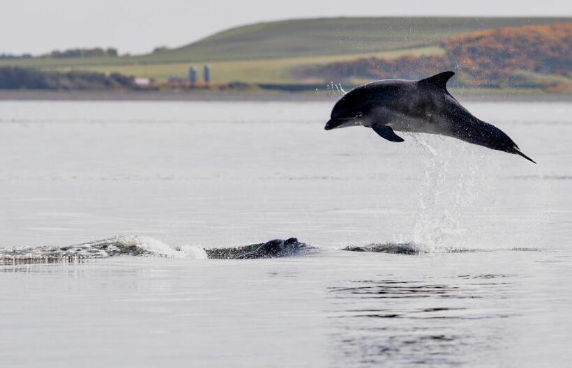 צימר Blervie House