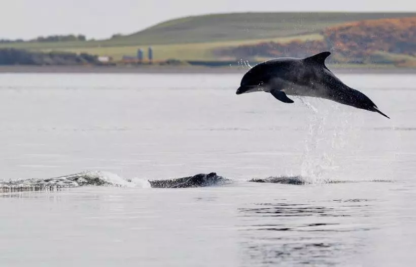 تختخواب و صبحانه Blervie House