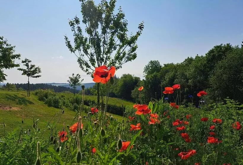ベッドアンドブレックファースト Chanteloup, Maison D Hôtes  Halleux