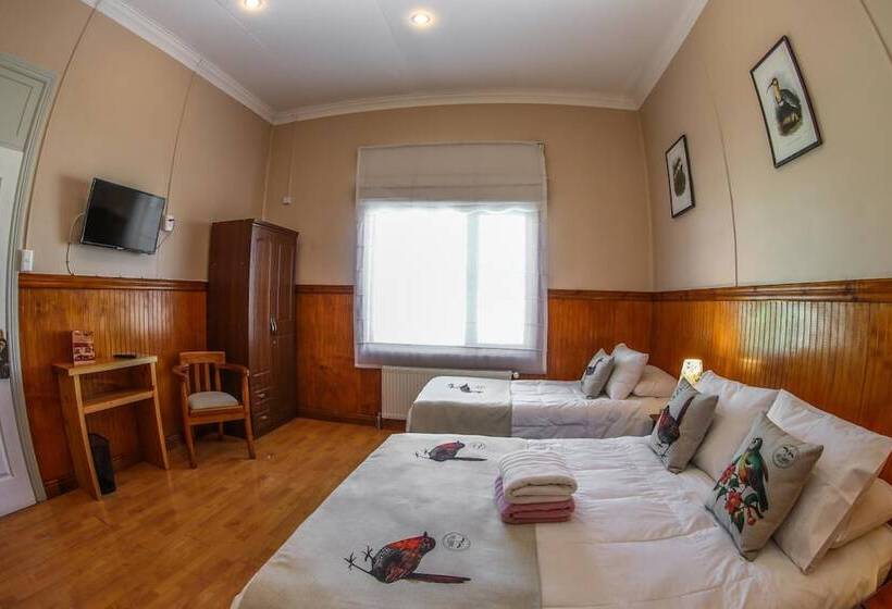 בית מלון כפרי Albatros