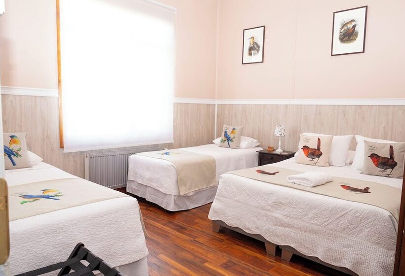 בית מלון כפרי Albatros