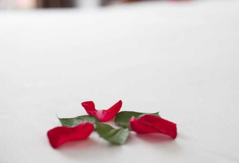 هتل Hanoi Bel Ami