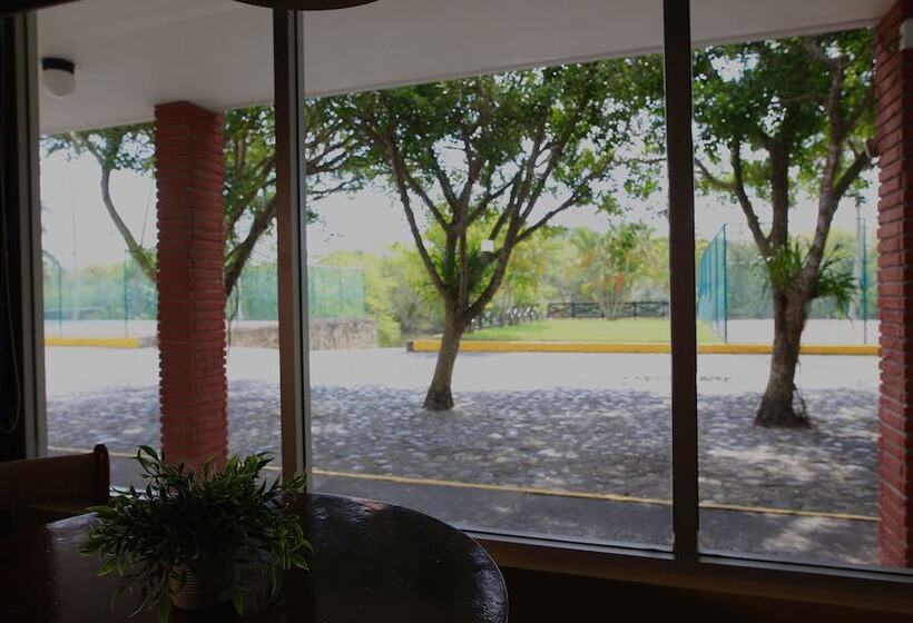 فندق Plaza Palmas