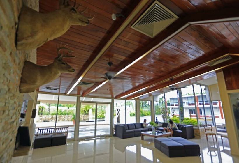 فندق Plaza Palmas