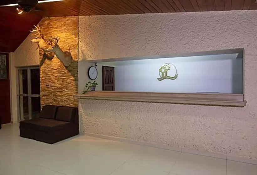 هتل Plaza Palmas