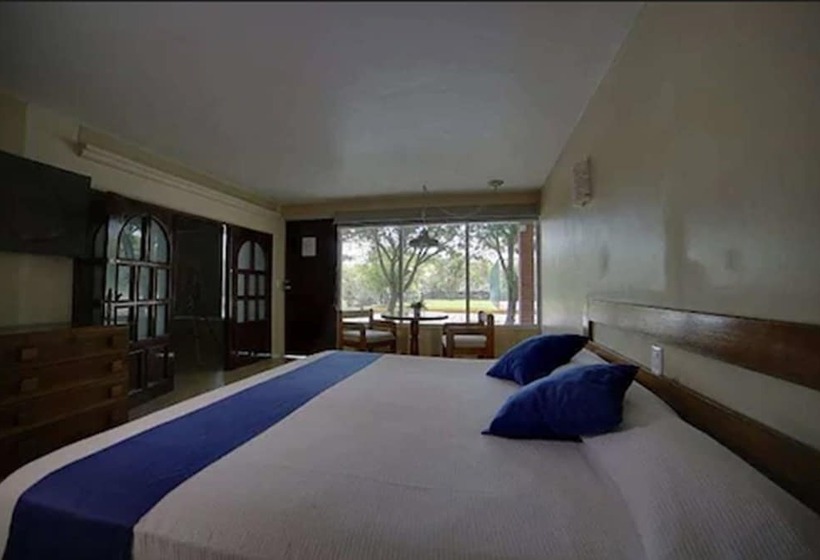 فندق Plaza Palmas