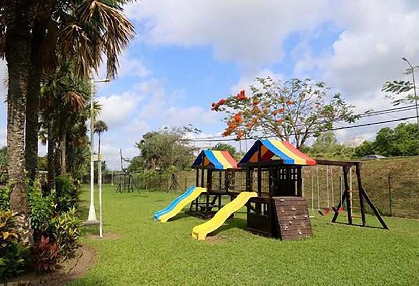 فندق Plaza Palmas