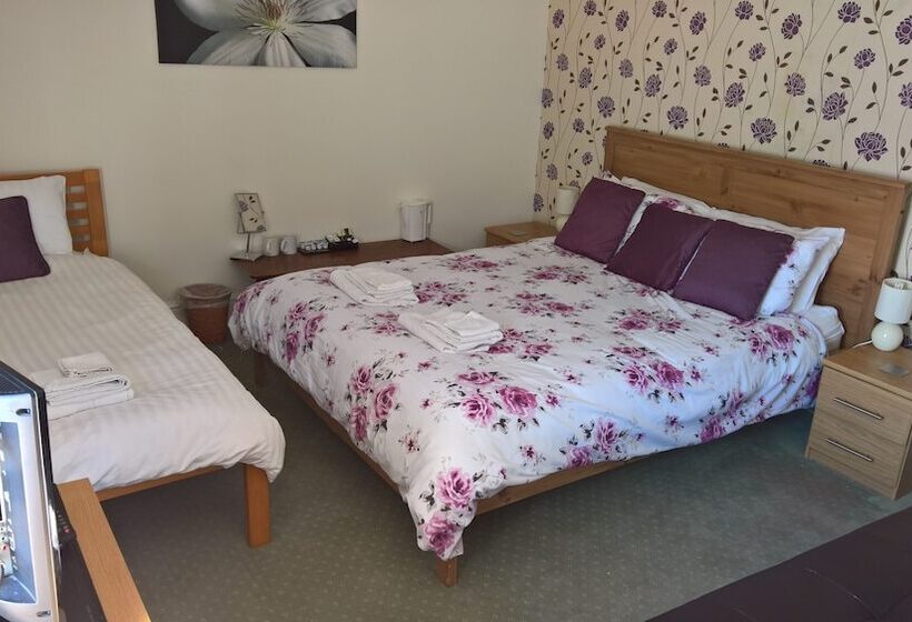 ベッドアンドブレックファースト Black Bull