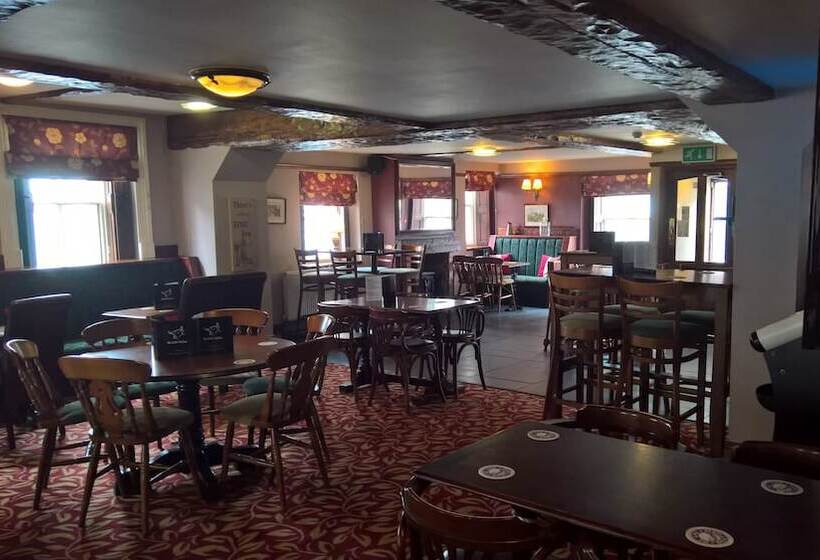 ベッドアンドブレックファースト Black Bull