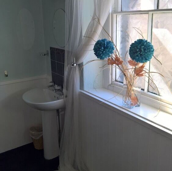 ベッドアンドブレックファースト Black Bull