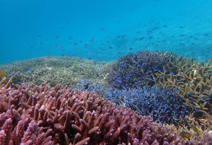 Hotel Canaan Coffee &