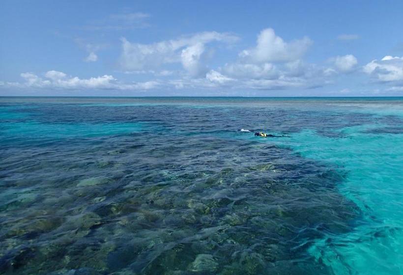 Hotel Canaan Coffee &