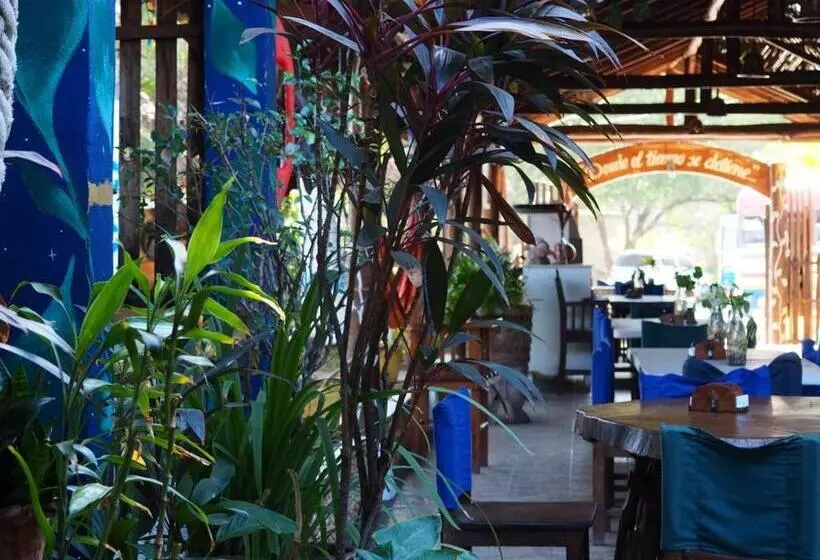 ホテル Restaurante Spa La Barca De Oro