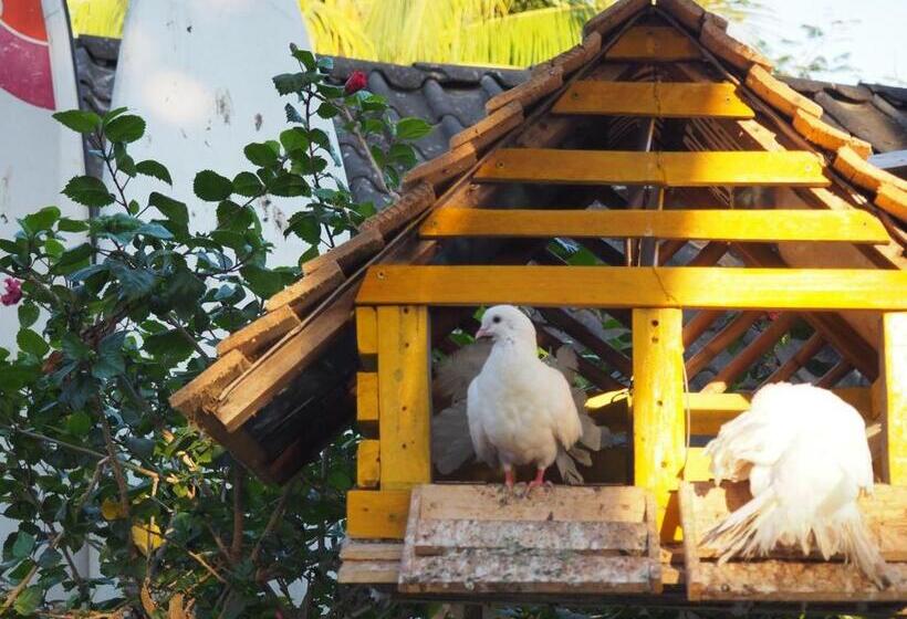 هتل Restaurante Spa La Barca De Oro
