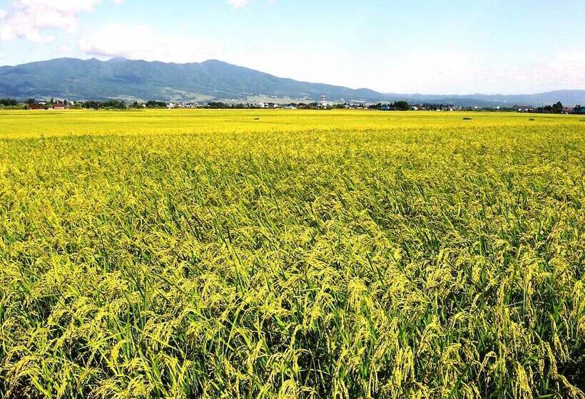 日式旅馆 Shiguretei