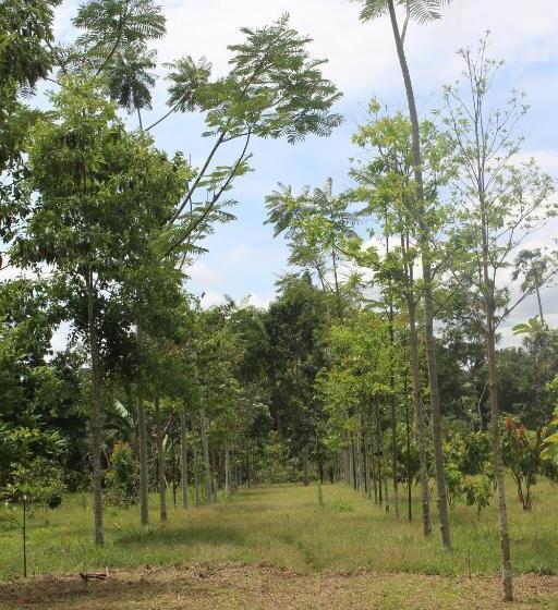 הוסטל Hospedaje Franco Peruano El Tambito