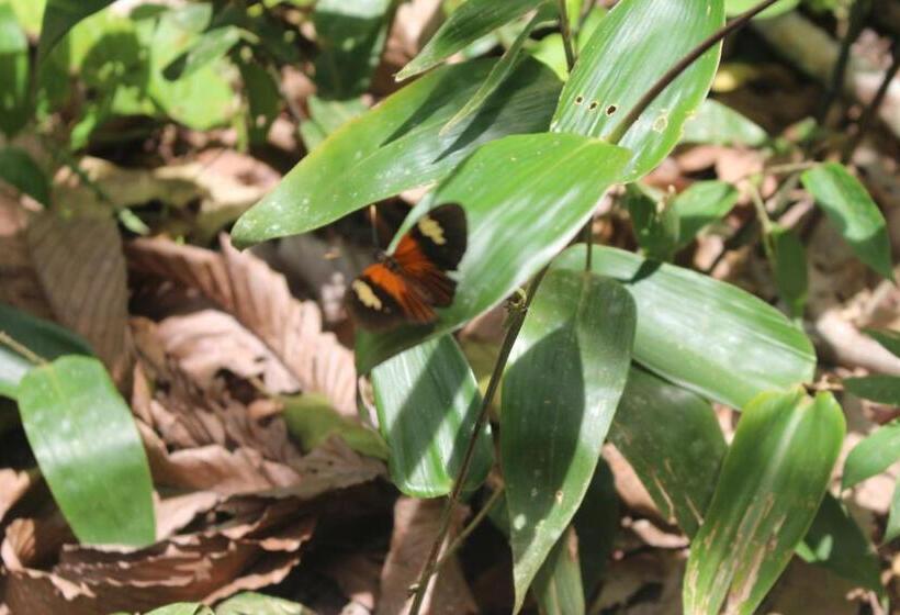 הוסטל Hospedaje Franco Peruano El Tambito