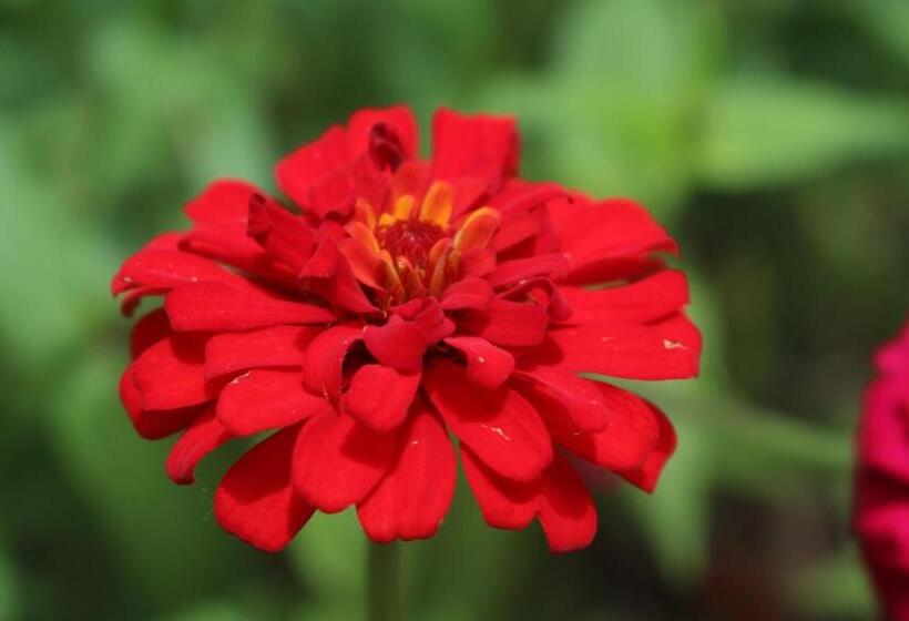 הוסטל Hospedaje Franco Peruano El Tambito