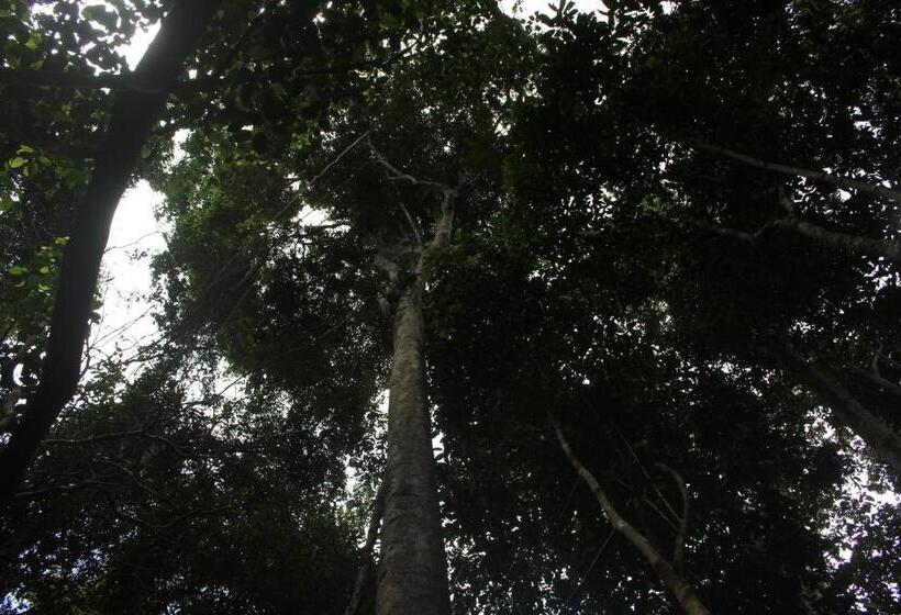 הוסטל Hospedaje Franco Peruano El Tambito