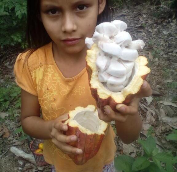 הוסטל Hospedaje Franco Peruano El Tambito