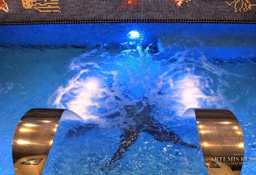 호텔 Artemis Resort Wellness