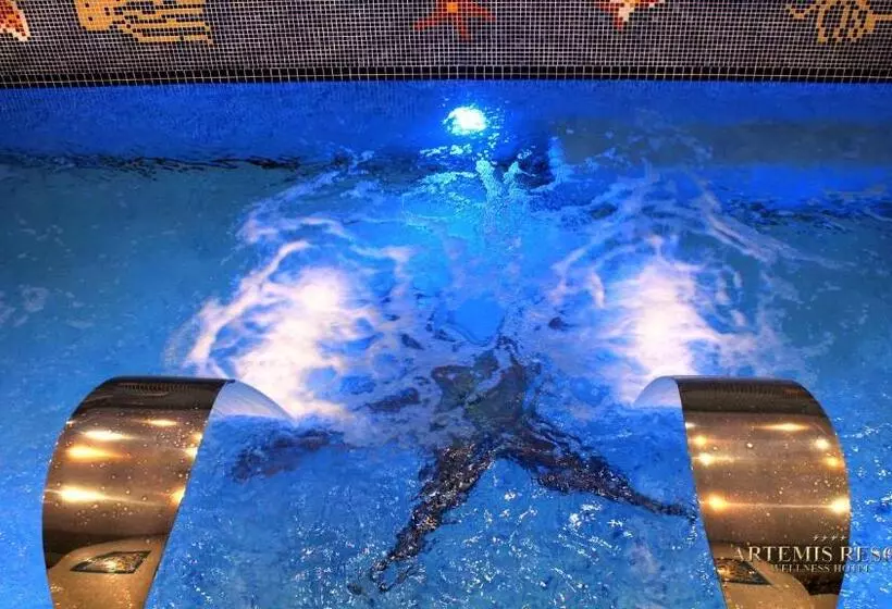 ホテル Artemis Resort Wellness
