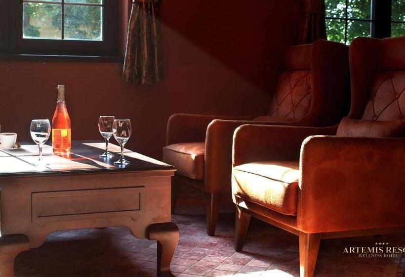 호텔 Artemis Resort Wellness