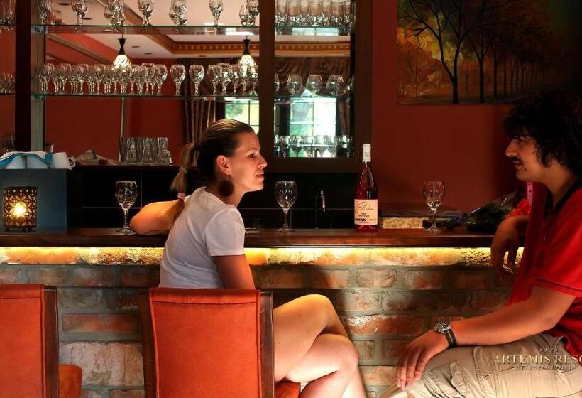 호텔 Artemis Resort Wellness