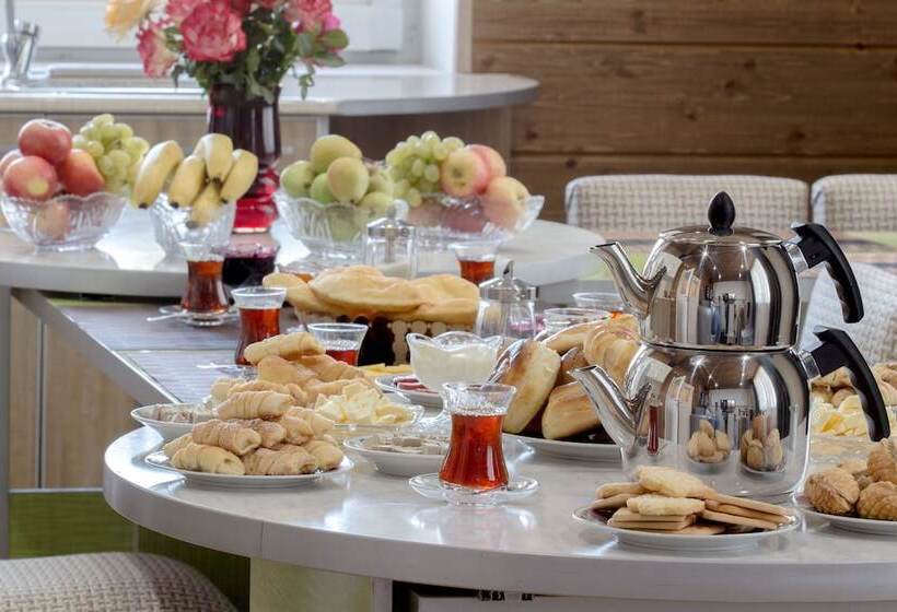 هتل Hillside Karakol B&b