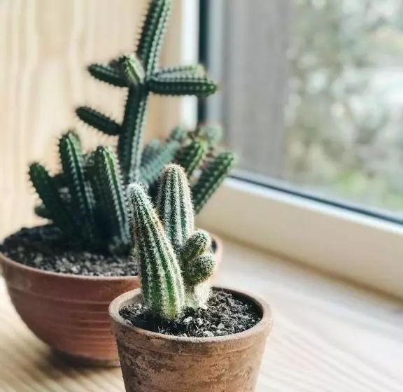 هتل Latroupe Jardin Secret