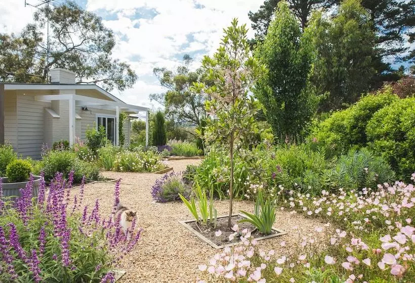 Aamiaismajoitus (B&B) Haven Red Hill