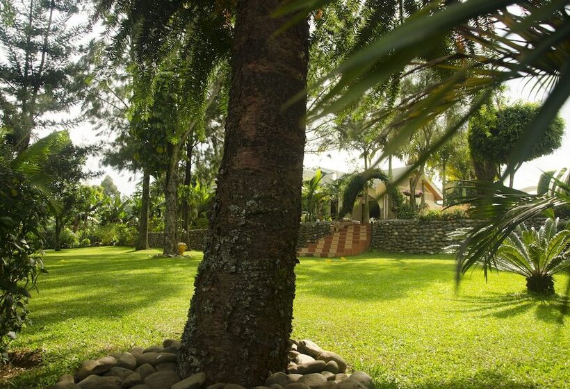 تختخواب و صبحانه Sheevys Bed N Breakfast