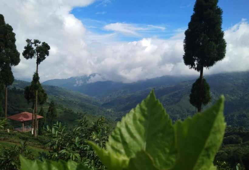 Resort Chamong Chiabari