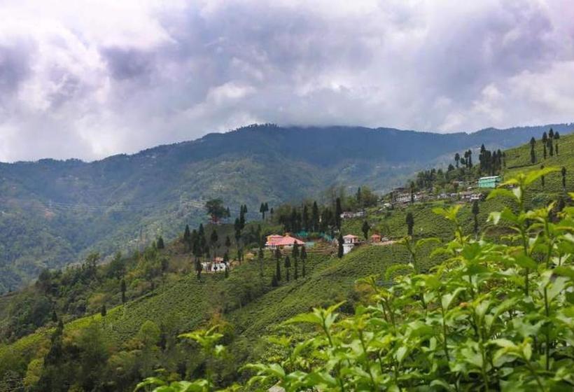 Resort Chamong Chiabari