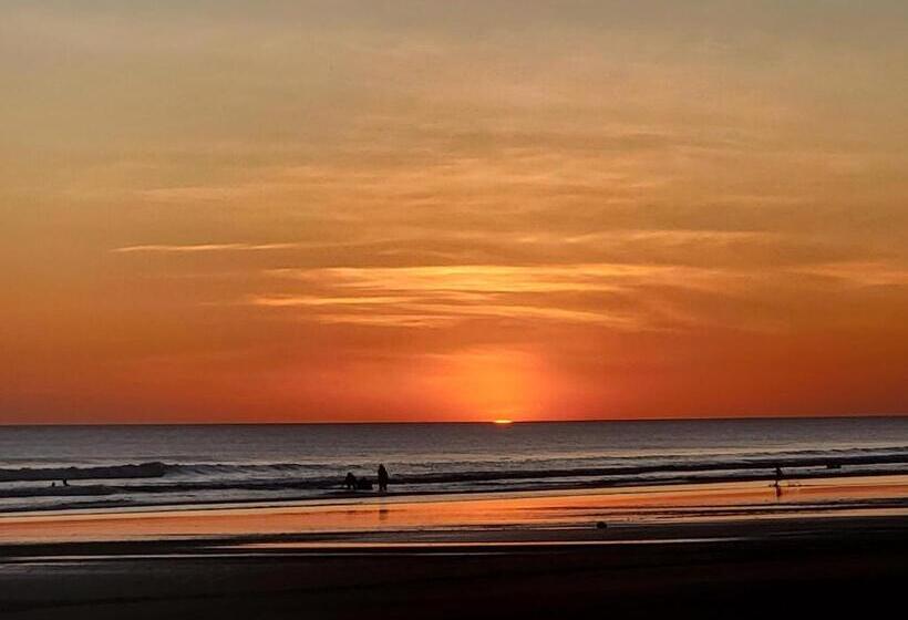 הוסטל Johnny Fiestas