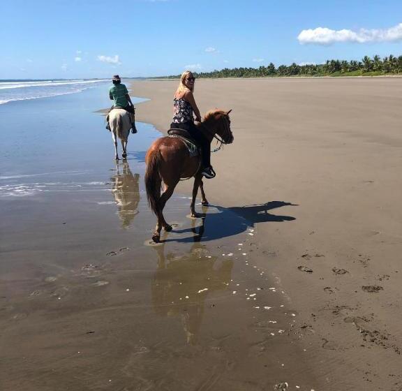 הוסטל Johnny Fiestas