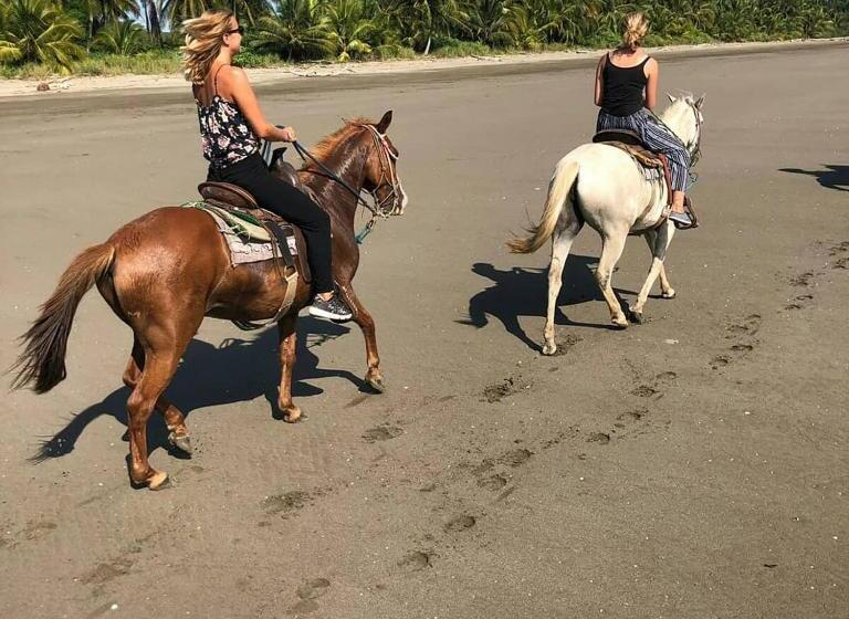 הוסטל Johnny Fiestas