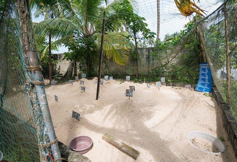 هتل At Ease Beach