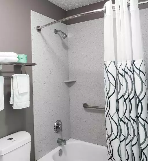 Hotelli Siesta Inn Mcallen