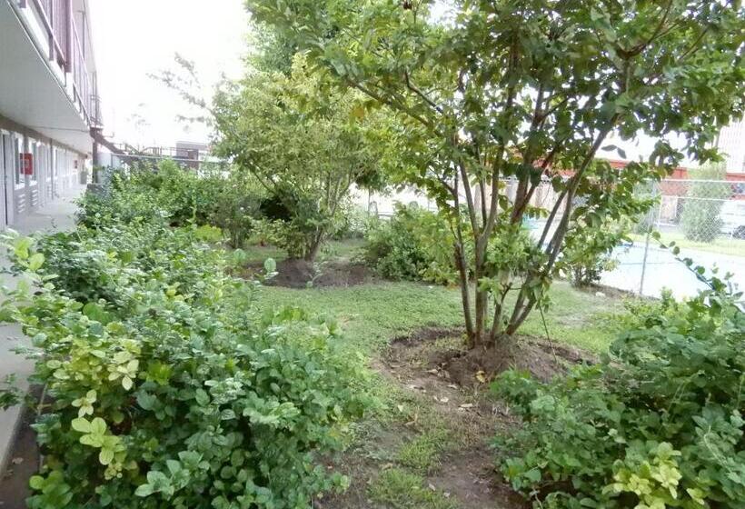 ホテル Siesta Inn Mcallen