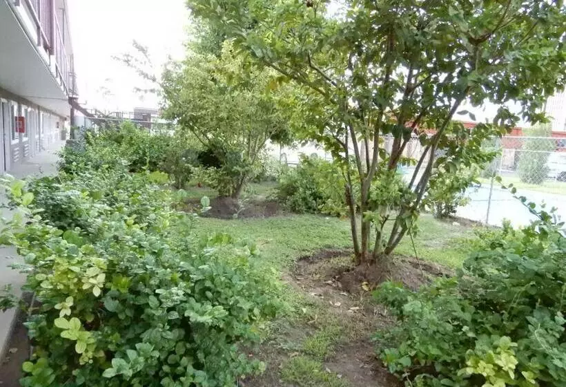 Hotelli Siesta Inn Mcallen