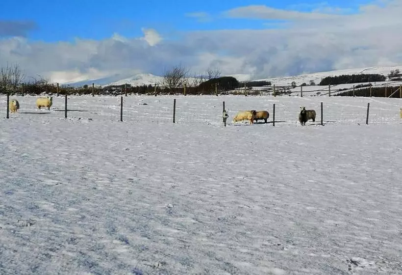 Hotelli Y Giler Arms