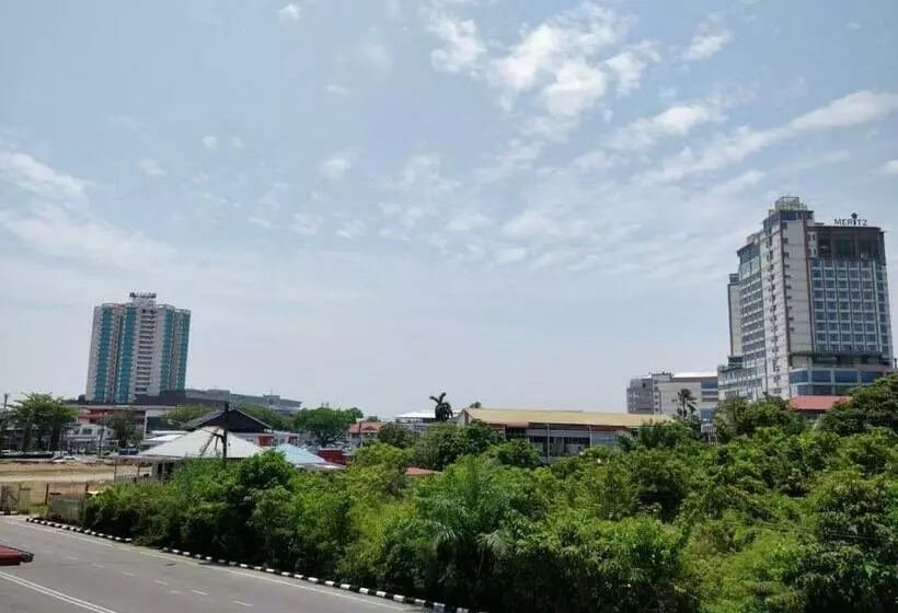Hotel Yew