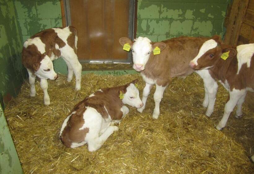 Bed and Breakfast Gässlihof