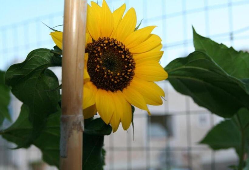 ベッドアンドブレックファースト La Dimora Gigante