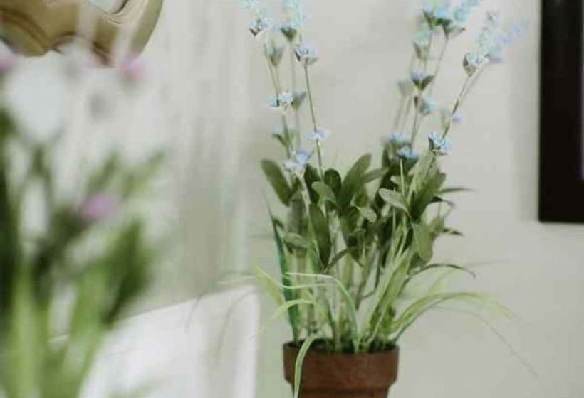 Chestnut Street Inn B&b