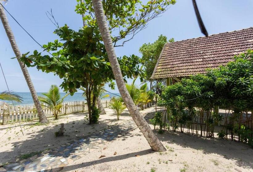 فندق Azure Tides Marari