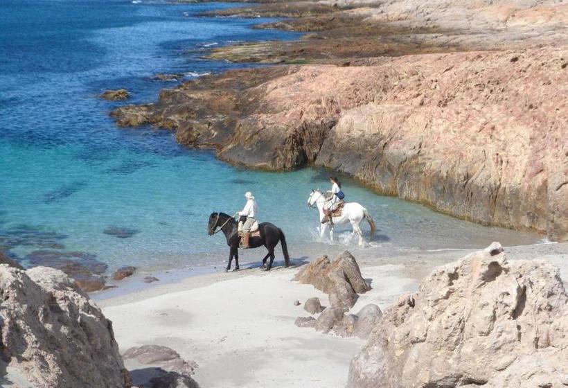 Hotel Bahia Bustamante Lodge