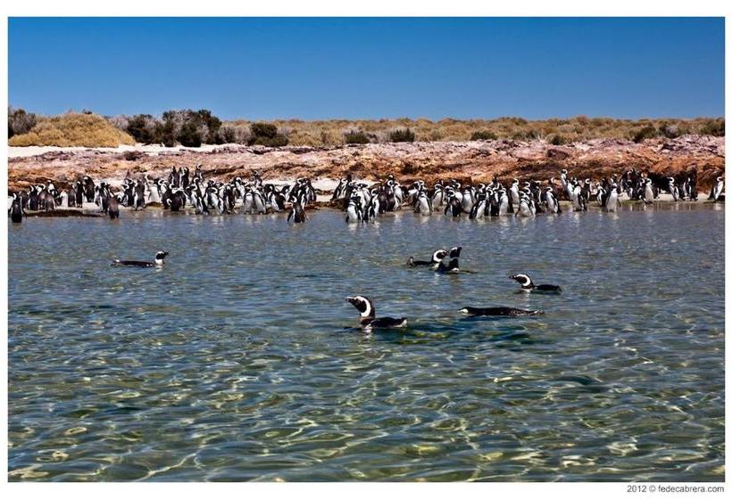 Hotel Bahia Bustamante Lodge
