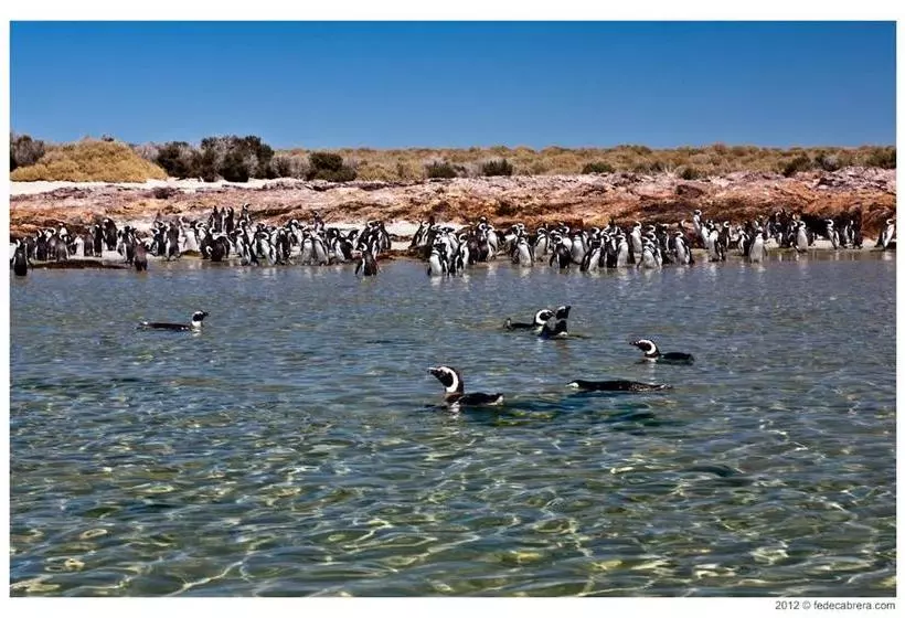 Hotelli Bahia Bustamante Lodge